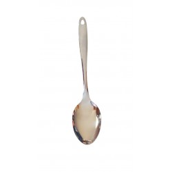 Lingura din inox, 27 cm, 459COF