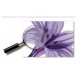 Sticker decorativ, Flori albastre, 160 cm, 744STK
