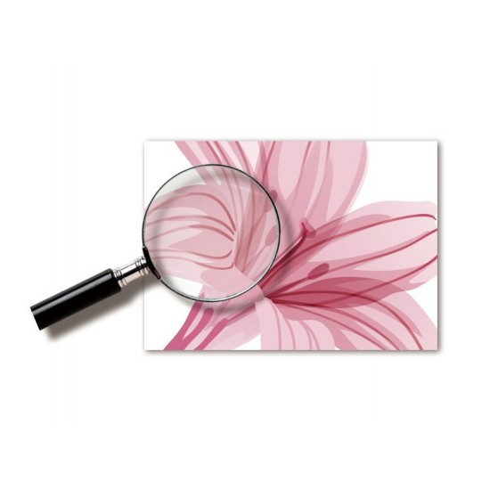 Sticker decorativ, Flori roz, 160 cm, 743STK Sticker decorativ, Flori roz, 160 cm, 743STK