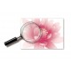 Sticker decorativ, Flori roz, 187 cm, 732STK Sticker decorativ, Flori roz, 187 cm, 732STK