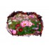 Sticker decorativ, Gaura in perete 3D, Flori, 85 cm, 333STK-1