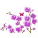 Sticker decorativ, Orhideie, 150 cm, 399STK-1