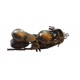 Motocicleta decorativa, Din metal, Negru, 17 cm, 356-3D