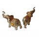 Set 2 elefanti, Auriu, 20 cm, 150904C