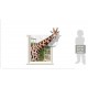 Sticker decorativ, fereastra cu girafa 79 cm, 58STK