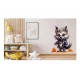 Sticker decorativ, Halloween, Gri, 73 cm, 1337STK-22 Sticker decorativ, Halloween, Gri, 73 cm, 1337STK-22