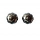 Set 2 Cuburi Dovleac pentru racirea bauturilor, Argintiu, 4 cm, HML58