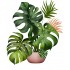 Sticker decorativ, Floare, Verde, 72 cm, 1261STK-6