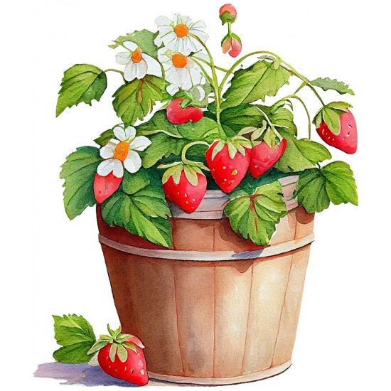 Sticker decorativ, Ghiveci cu Capsuni, Rosu, 72 cm, 1261STK-9