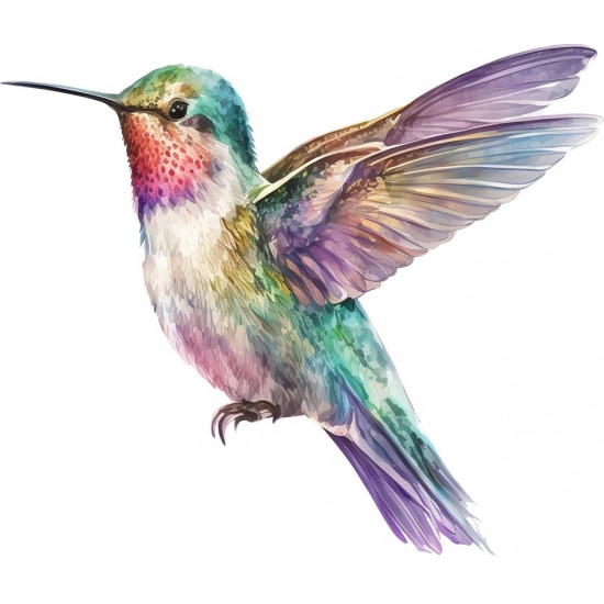 Sticker decorativ, Pasarea Colibri, Multicolor, 70 cm, 1271STK-1 Sticker decorativ, Pasarea Colibri, Multicolor, 70 cm, 1271STK-1